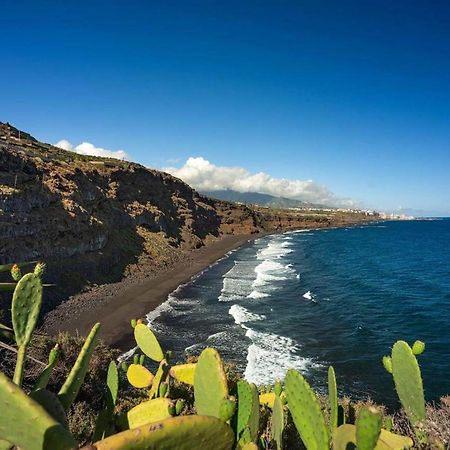 Dragos Del Mar , Espacio Natural La Orotava Eksteriør bilde