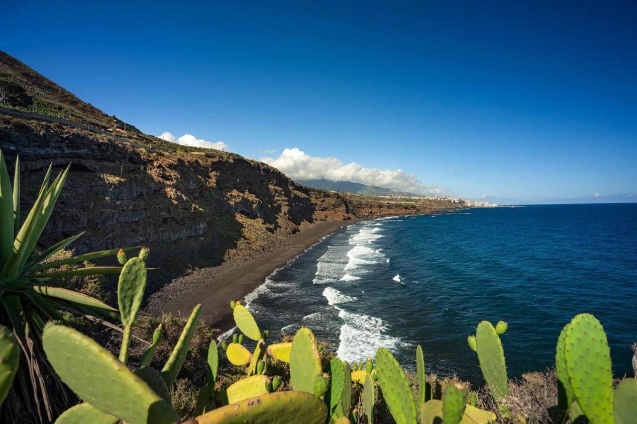 Dragos Del Mar , Espacio Natural La Orotava Eksteriør bilde